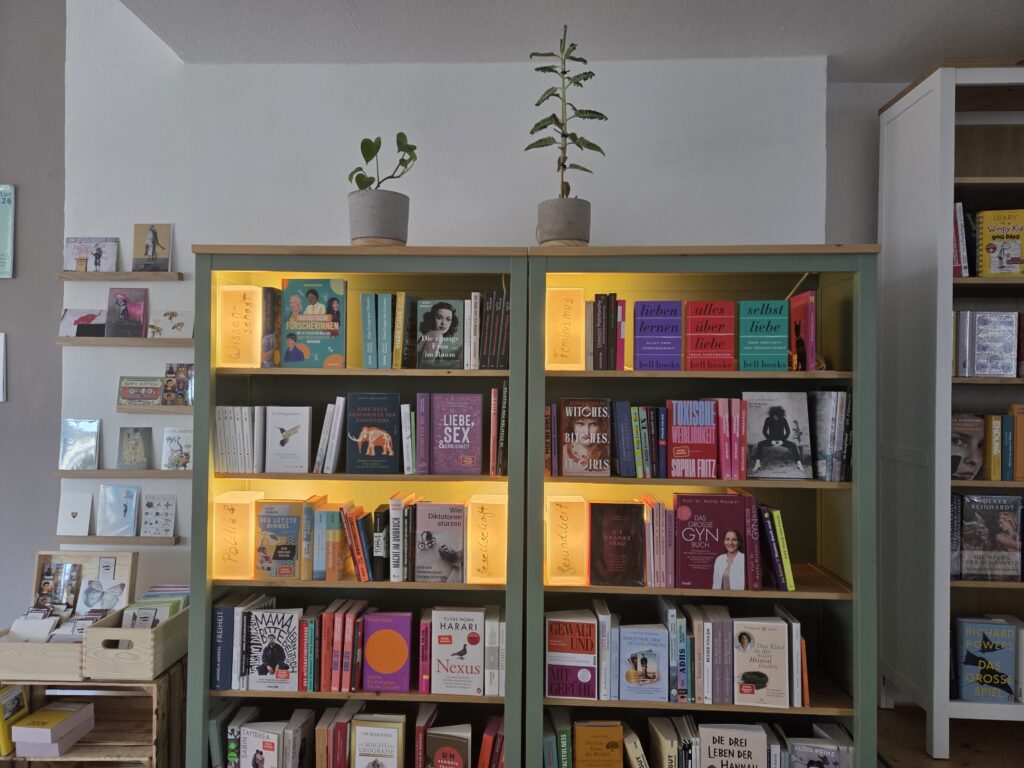 Bücher im Regal_Beispiel